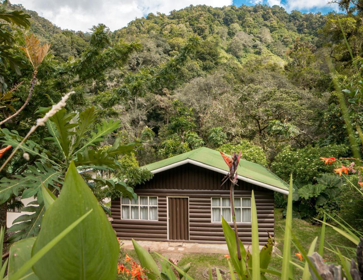 Cabinas El Quetzal San Gerardo de Dota Exterior photo
