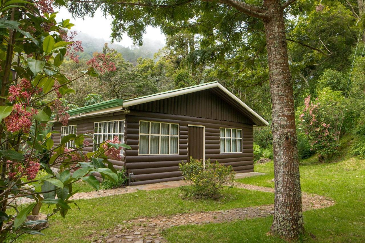 Cabinas El Quetzal San Gerardo de Dota Exterior photo